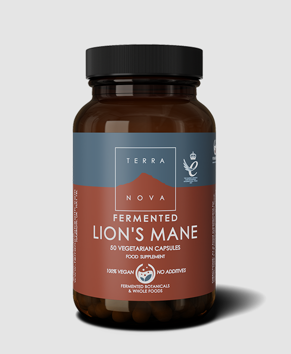 Fermented Lions Mane